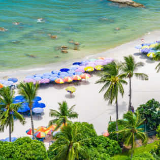 goa